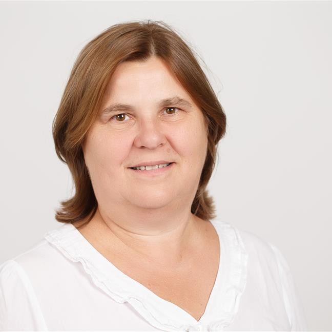 asist. dr. Marjeta Škapin Rugelj, univ. dipl. mat.