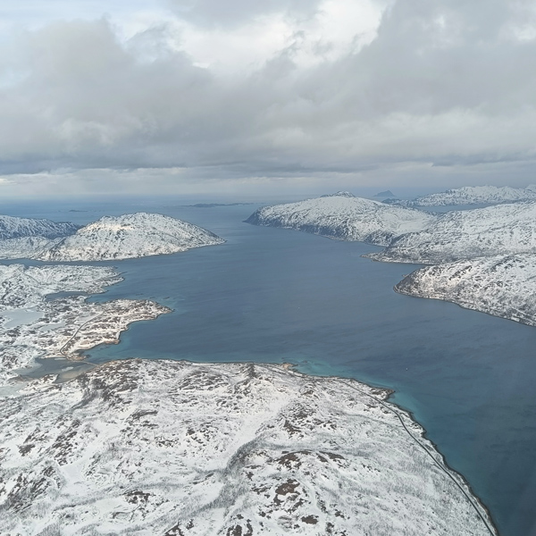 fgg_simon_03_2022