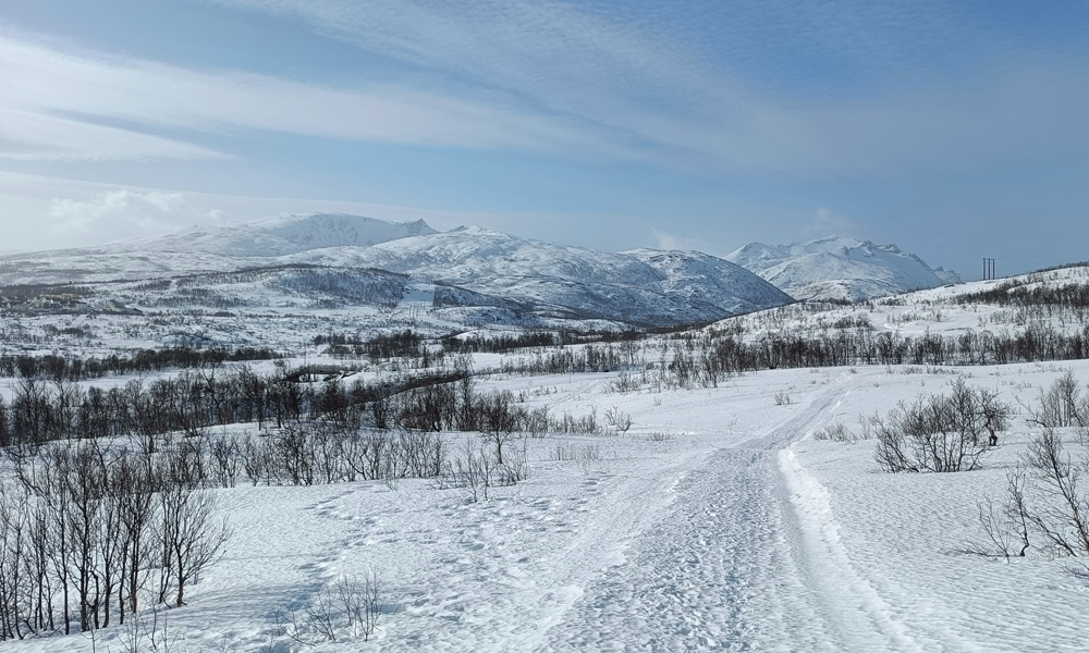 fgg_simon_08_2022